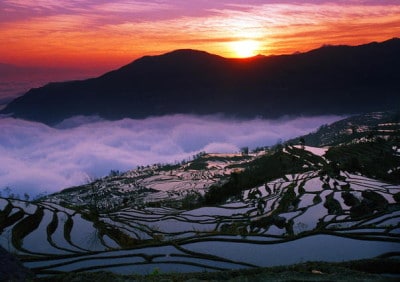 Honghe Hani Rice Terraces in China