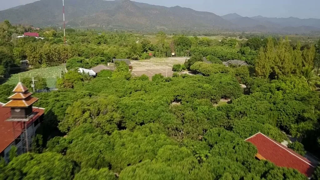 fabulous scenery in north thailand