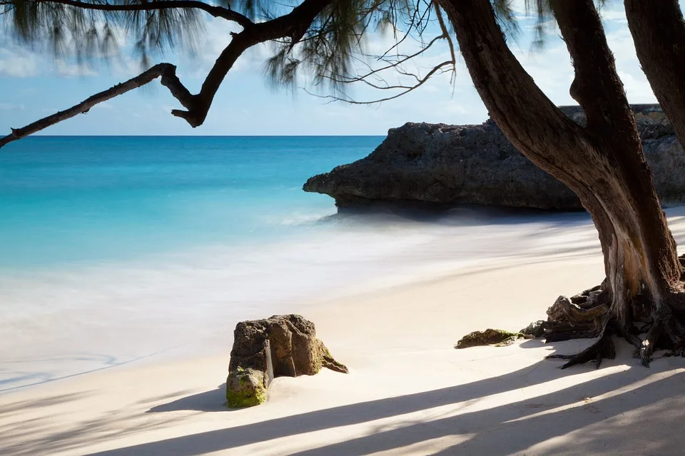 An incredible white sand beach in Barbados