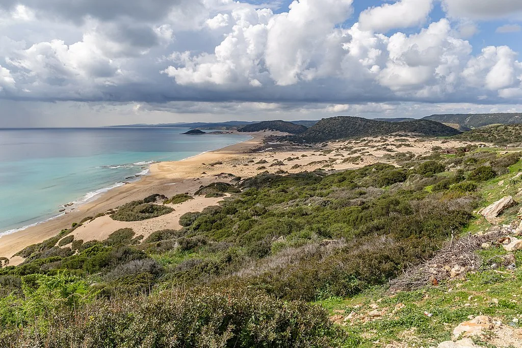 A distant shot of Golden Beach, showing grass and bushes.