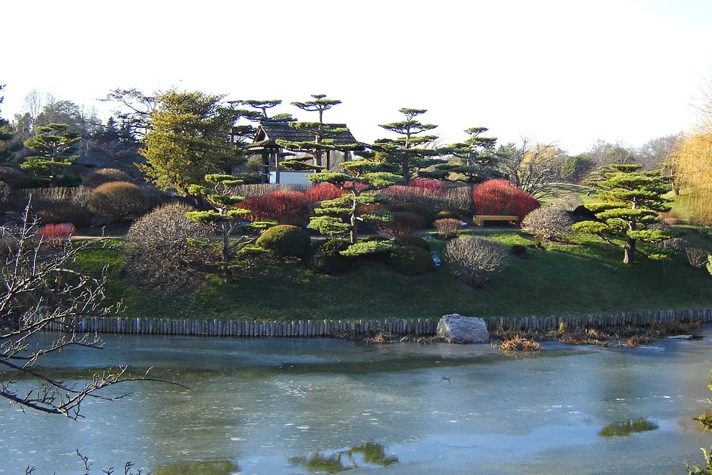 Frozen lake and botanic garden in Chicago