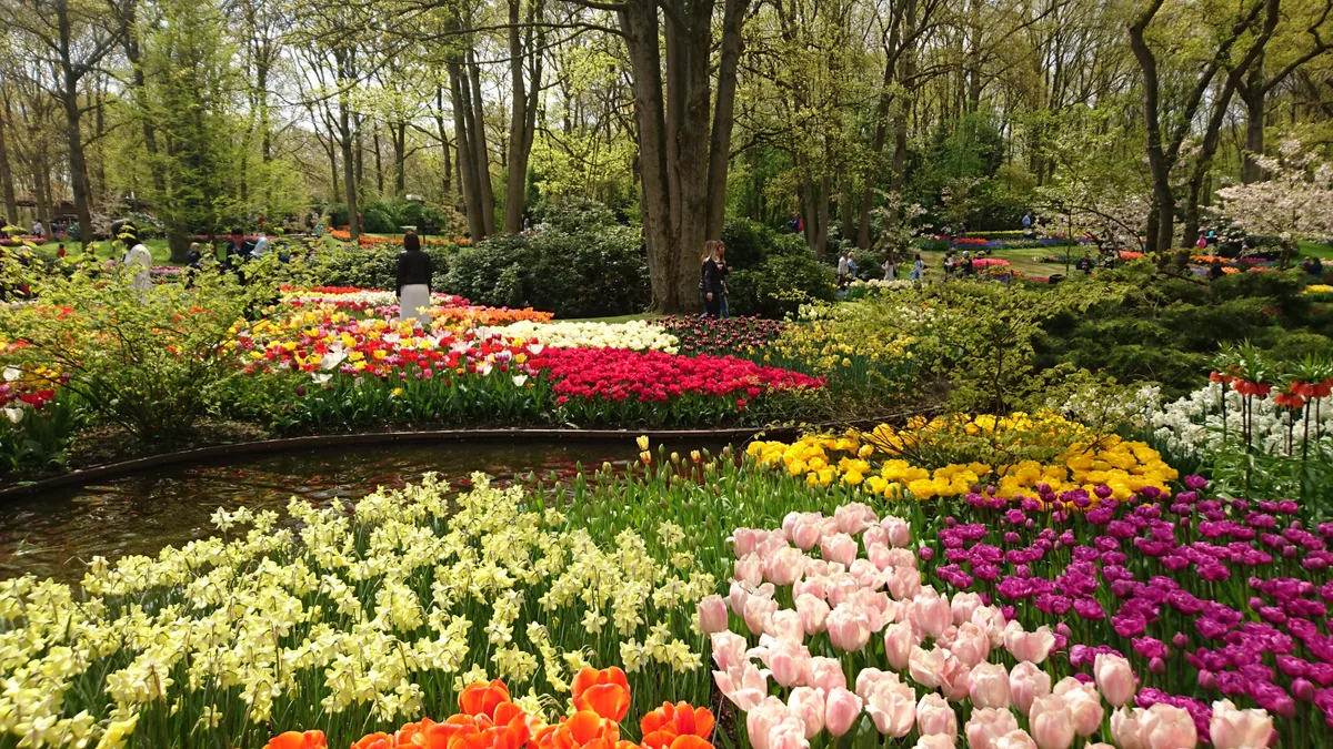 A Guide to Keukenhof: Tiptoeing through the Tulips