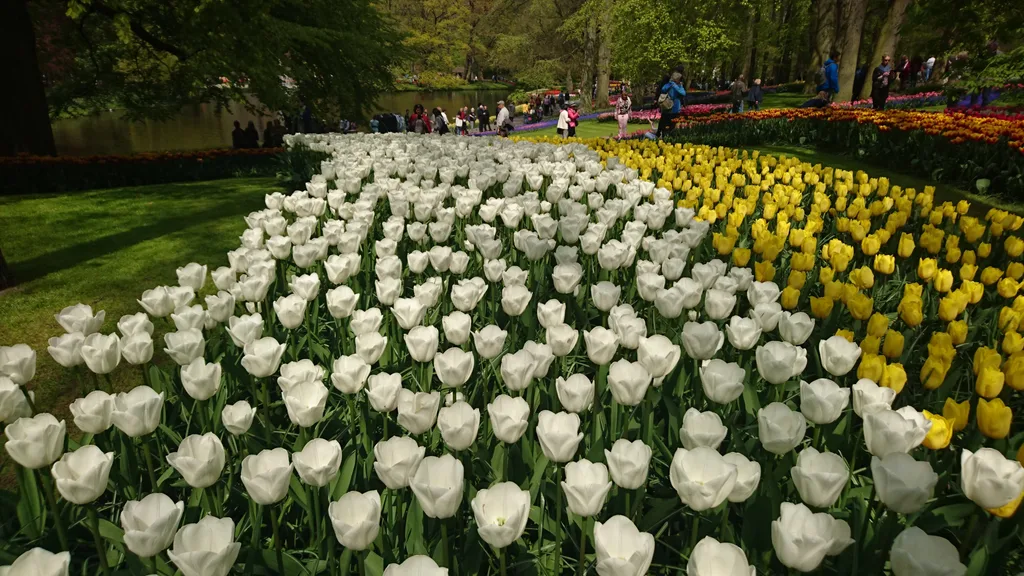 3 Karlien A Guide to Keukenhof