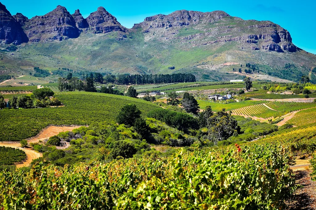 Robertson is famous for fantastic vineyards and premium wines