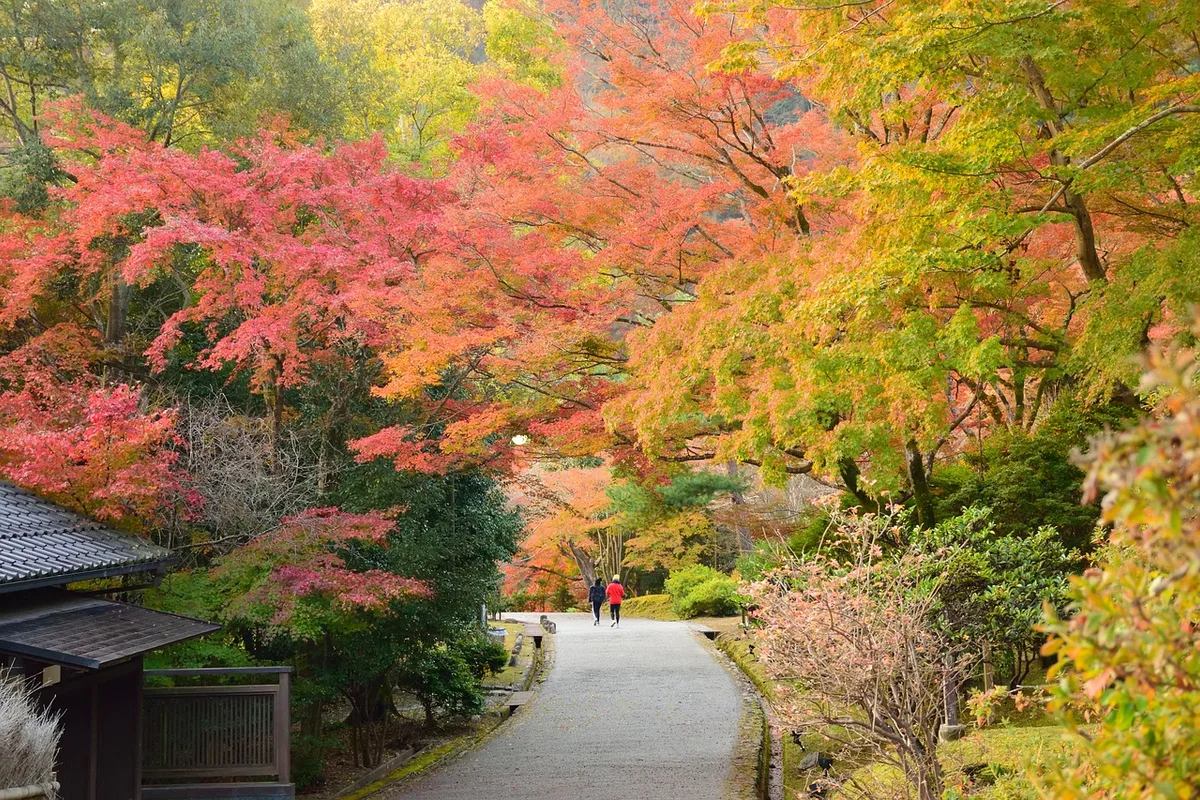 Autumn In Japan: Weather and Things to Do