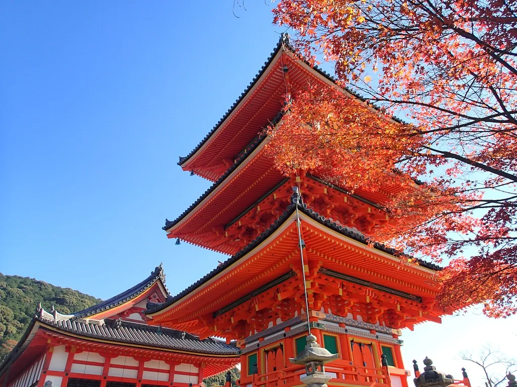 Leaf viewing in Kyoto, Japan