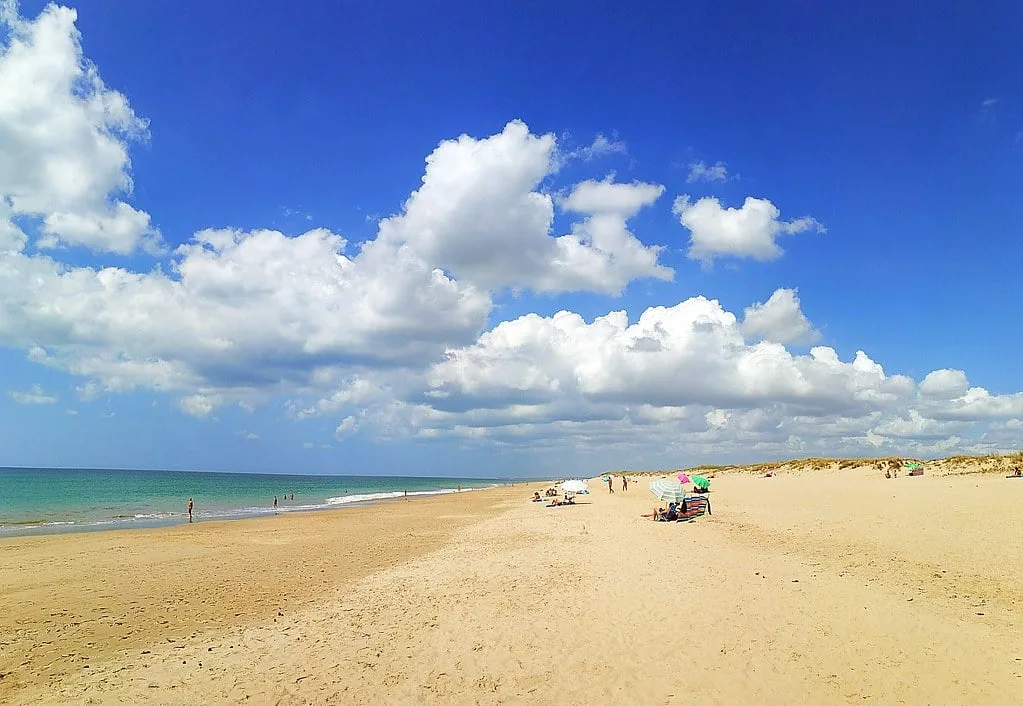 Playa de la Mangueta in Cádiz has the softest sand