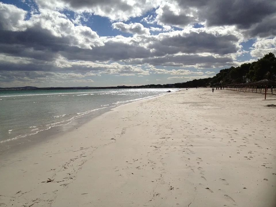 Lengthy beach Playa de Alcudia