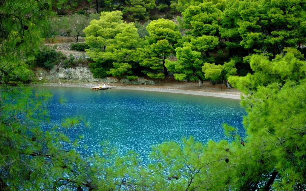 Beach on Poros surrounded by pines