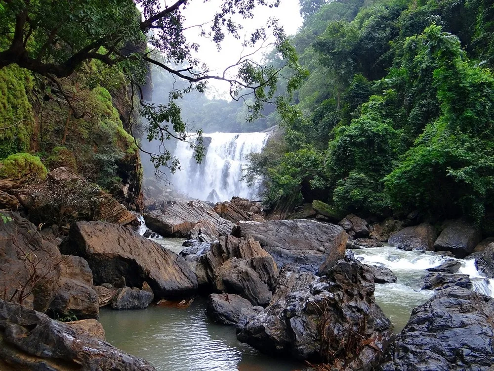 Kodagu in Karnataka, India 