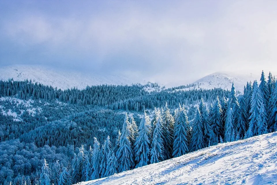 Winter landscape in Transylvania