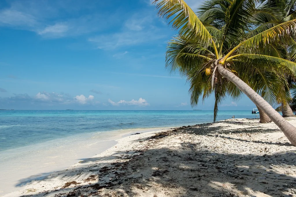 Palm shades and white sand in Belize