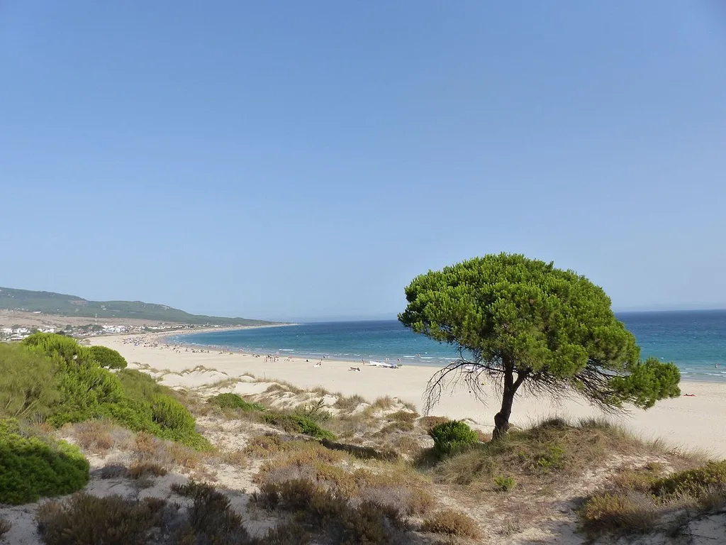 Playa de Bolonia in Spain is a lovely white-sand beach