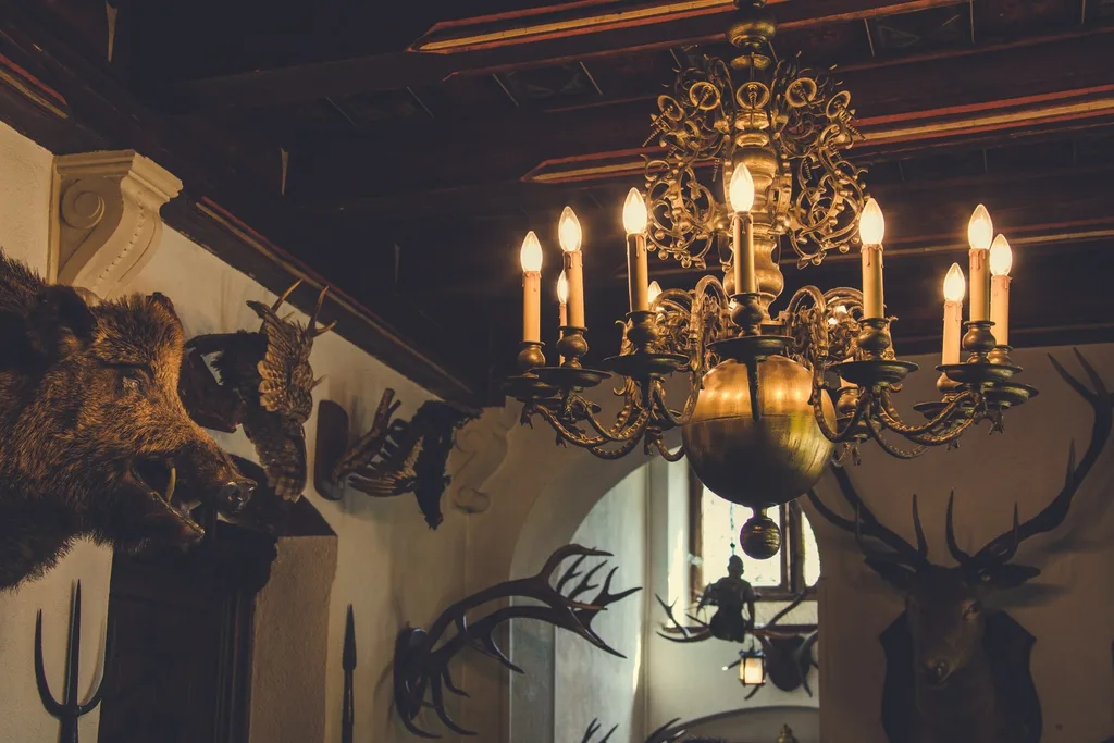 Hunting lodge with trophies.