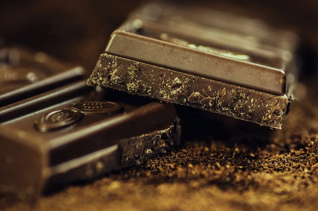 Delicious chocolate at Videri's factory in Raleigh