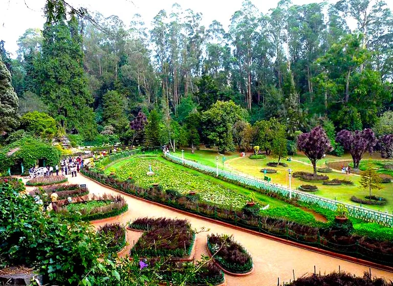 Botanical Garden in Ooty is home to many plant species