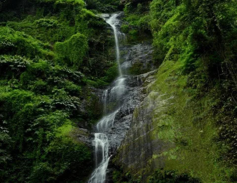 Chadwick Falls in Shimla