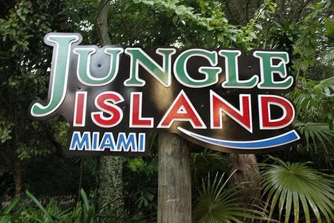 A Trip to Miami 12