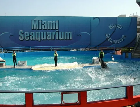 A Trip to Miami 13