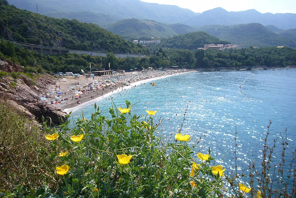 Flowers above Kamenovo Beach and Sea