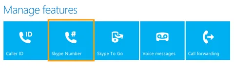 Skype Number Option on My Account Page