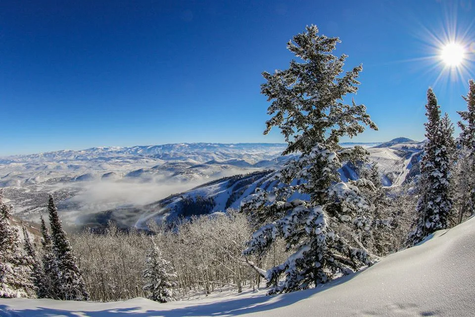The Drop In Series: Park City, Utah