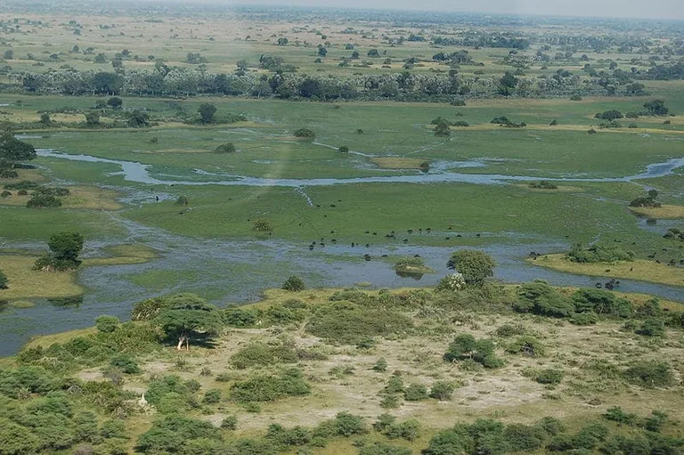 Okavango Delta, the Botswana Safari