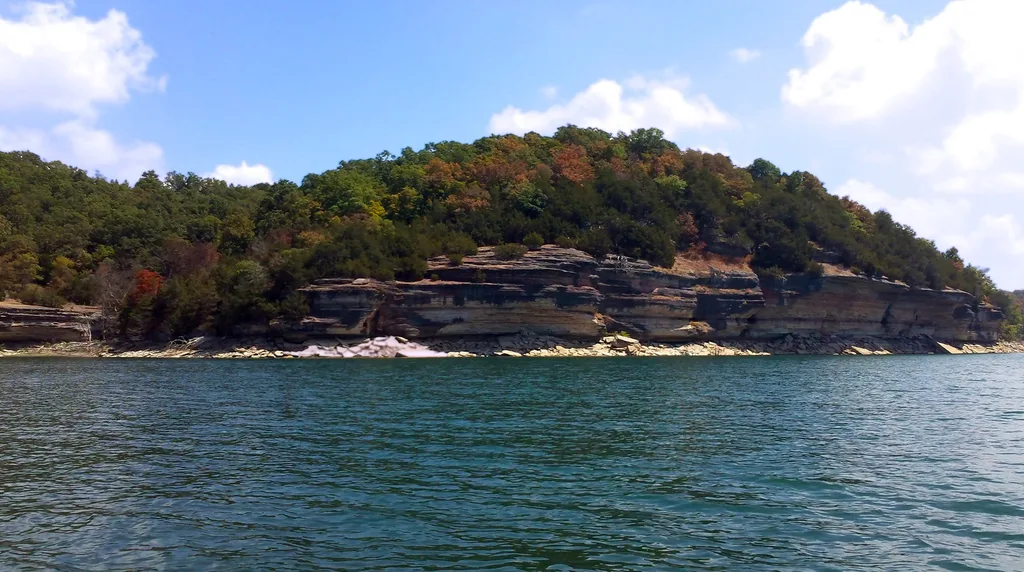 Beaver Lake and a Forest in Ozarks