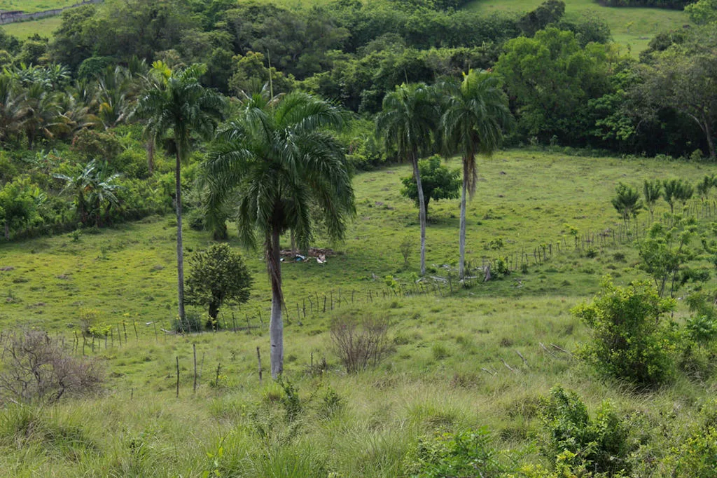 San Pedro de Macoris