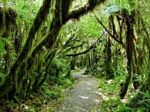 Best Places from Lord Of The Rings 15