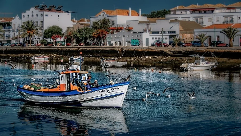 Fishing port Tavira in Algarve region