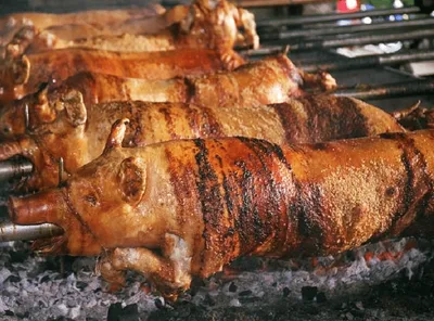 Where to Get The Best Cebu Lechon: 3 Local Restaurants Not to Miss