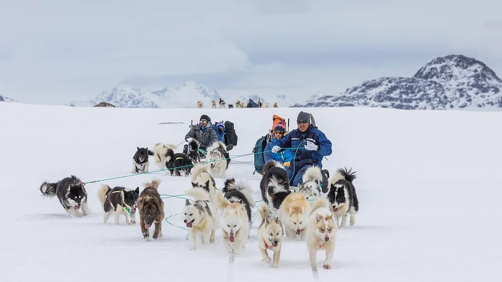 Riding on dog sleds is an unforgettable experience