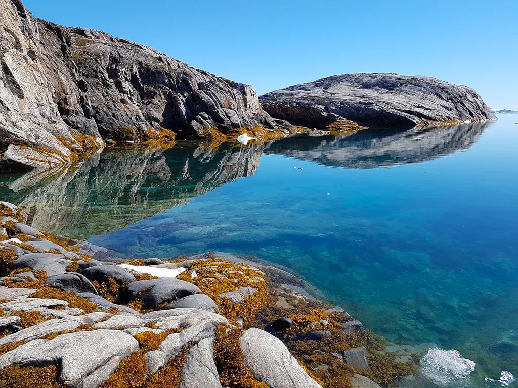 Water in the ice fjords is pristine